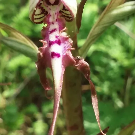La Casa Di Franco בית נופש