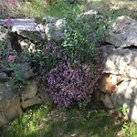 La Casa Di Franco *