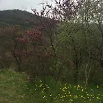 La Casa Di Franco Casa vacanze *