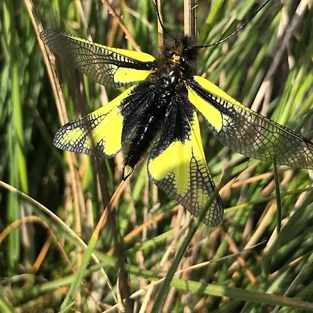Vakantiehuis La Casa Di Franco *