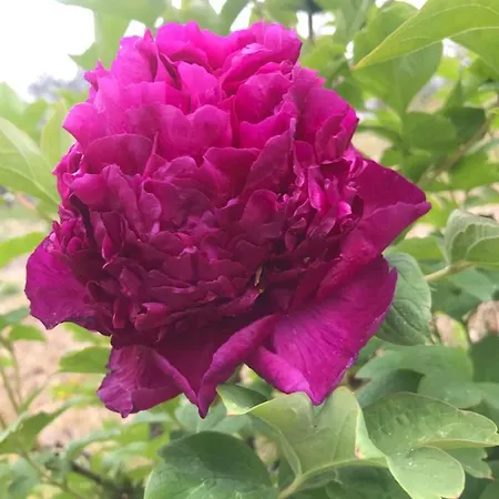 La Casa Di Franco * Rivoli Veronese