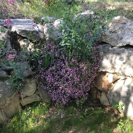 La Casa Di Franco *