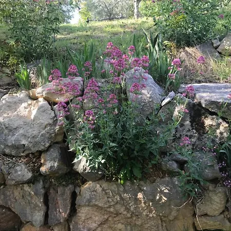 La Casa Di Franco Holiday home *