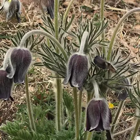 Vakantiehuis La Casa Di Franco Rivoli Veronese