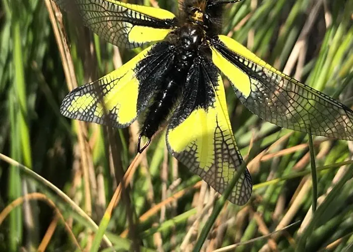 Vakantiehuis La Casa Di Franco *
