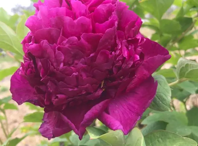 La Casa Di Franco * Rivoli Veronese