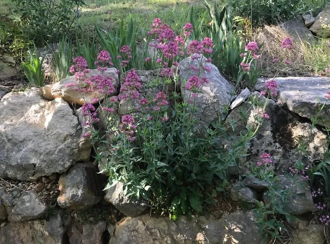 La Casa Di Franco Vakantiehuis *