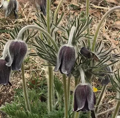 Vakantiehuis La Casa Di Franco Rivoli Veronese