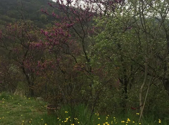 La Casa Di Franco Vakantiehuis *