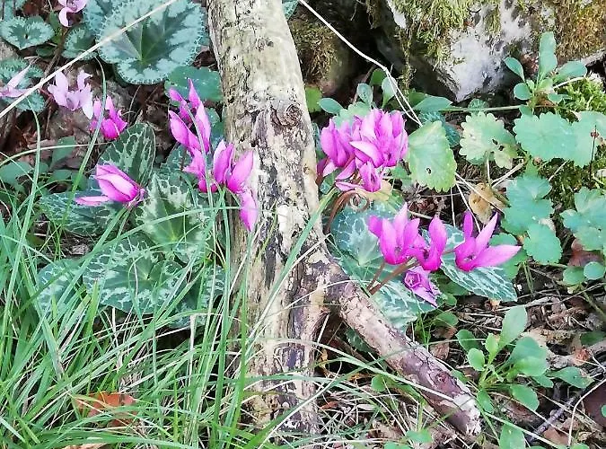 La Casa Di Franco Vakantiehuis *